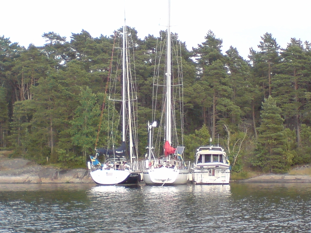 DSC00134.JPG