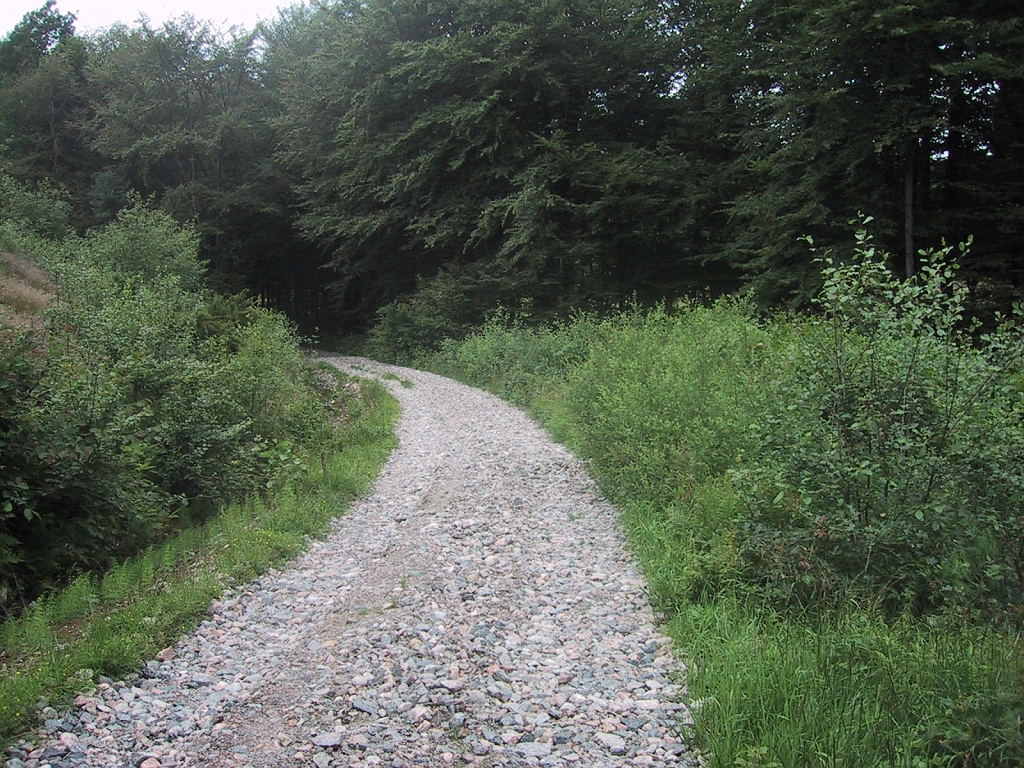 100-0005_IMG_6.JPG