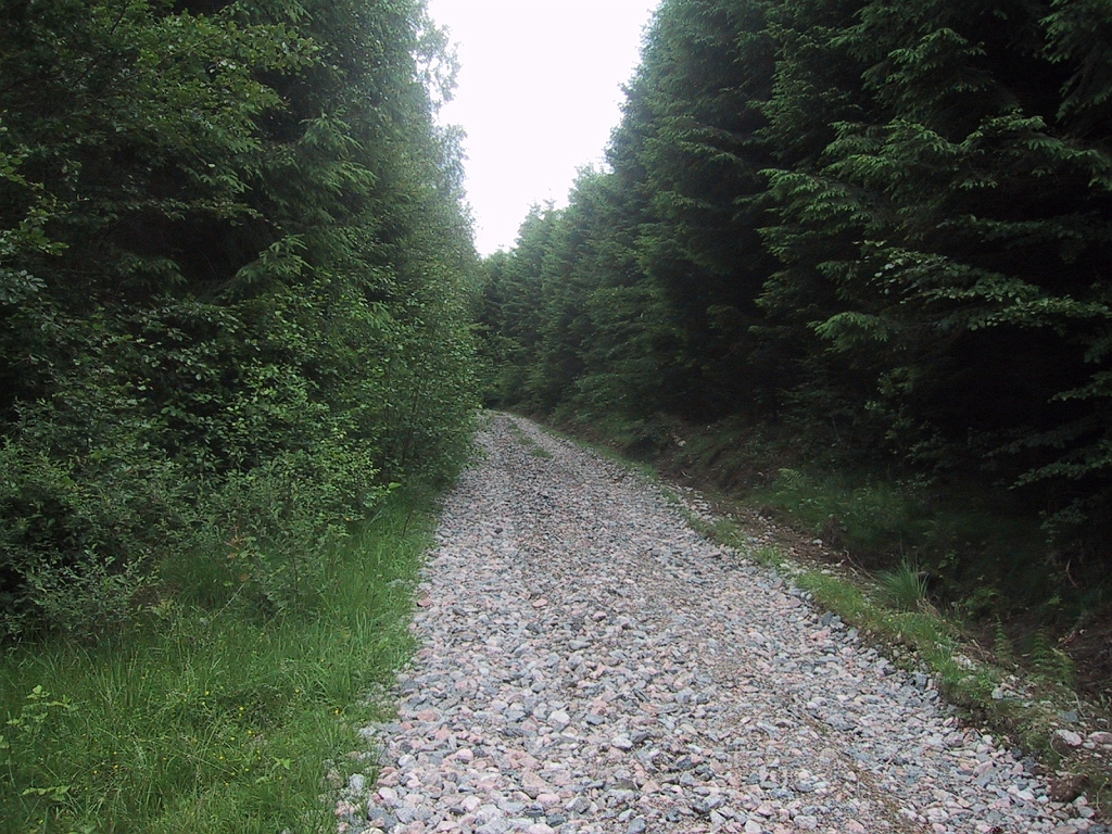 100-0006_IMG_6.JPG
