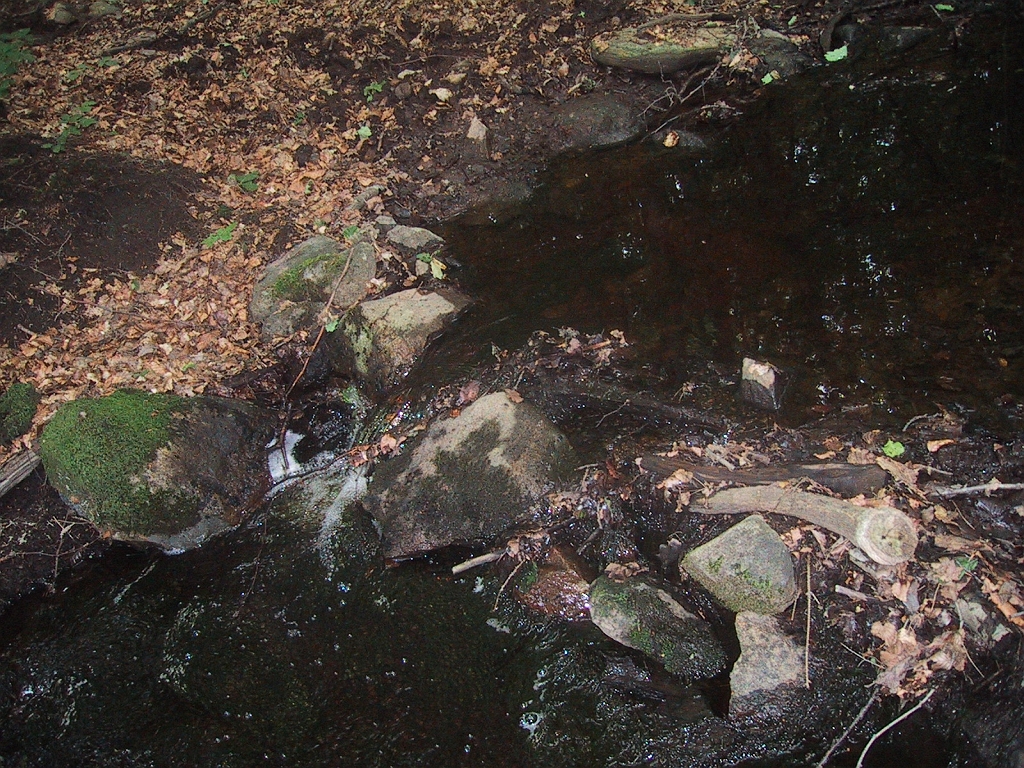 100-0007_IMG_6.JPG