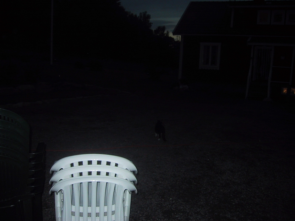 100-0009_IMG_2.JPG