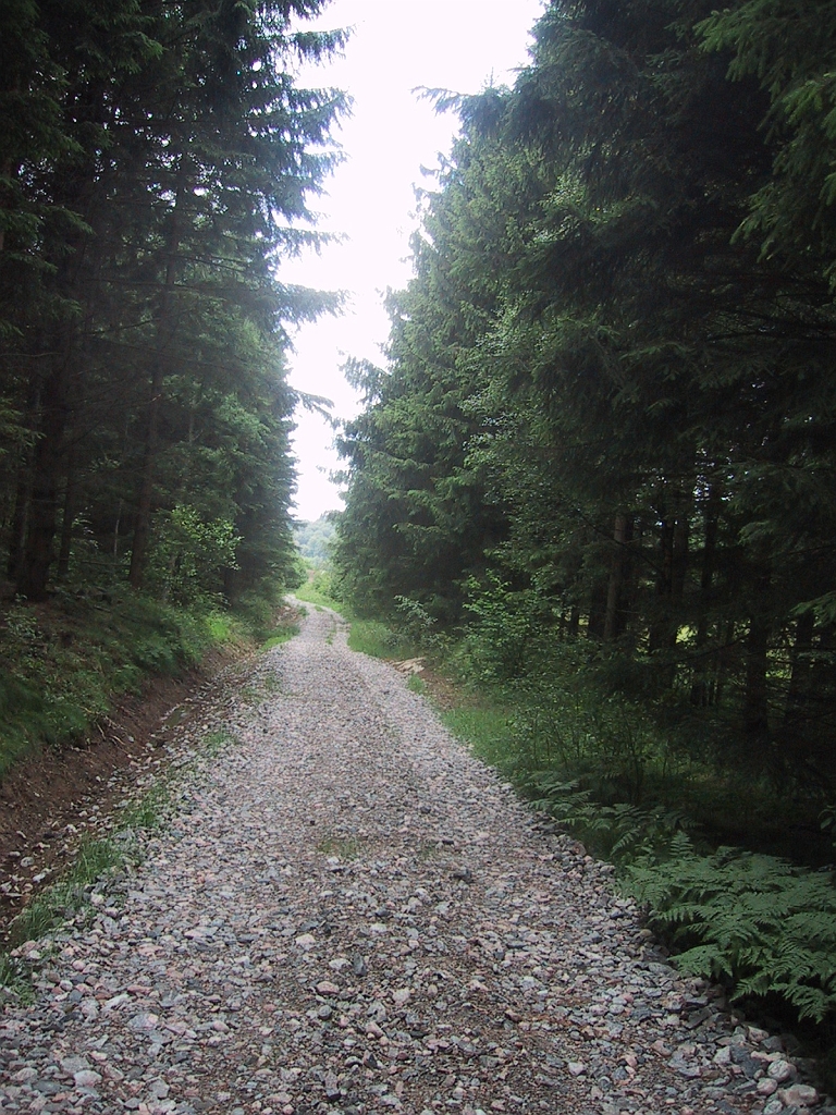 100-0012_IMG_3.JPG