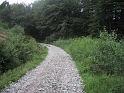100-0005_IMG_6