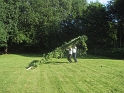 100-0007_IMG_3