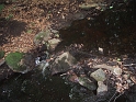 100-0007_IMG_6