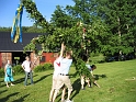 IMG_3423