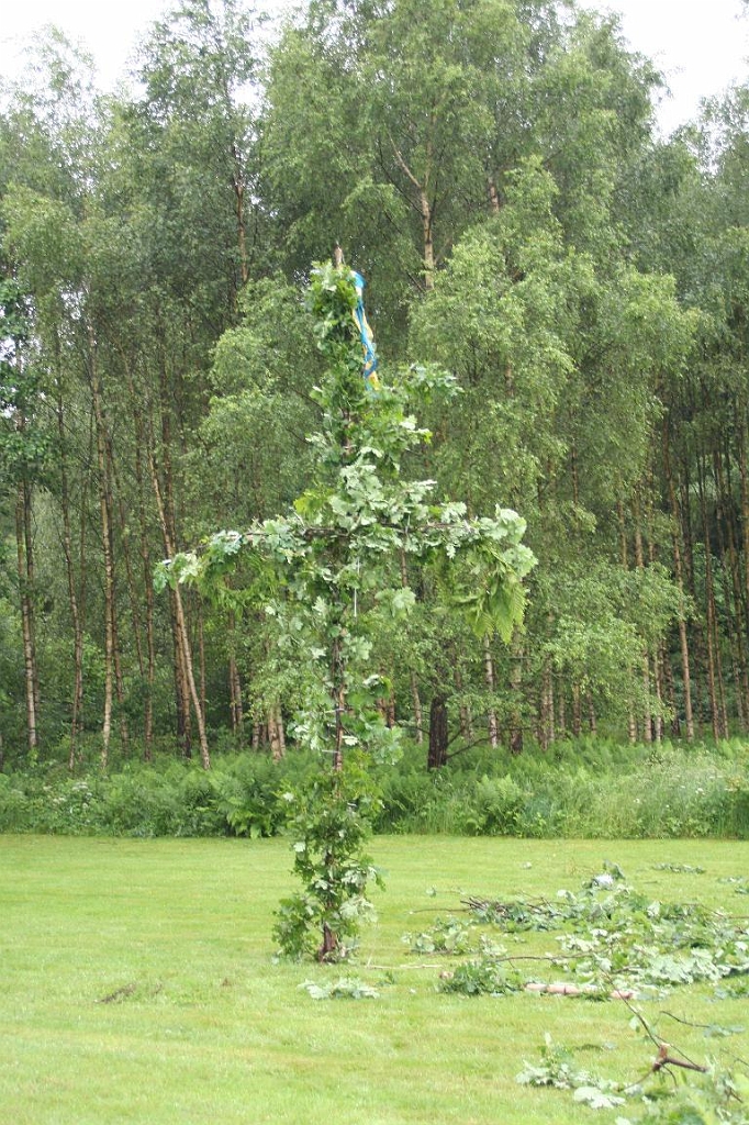 Midsommar_2007_031.jpg