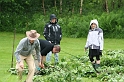 Midsommar_2007_024