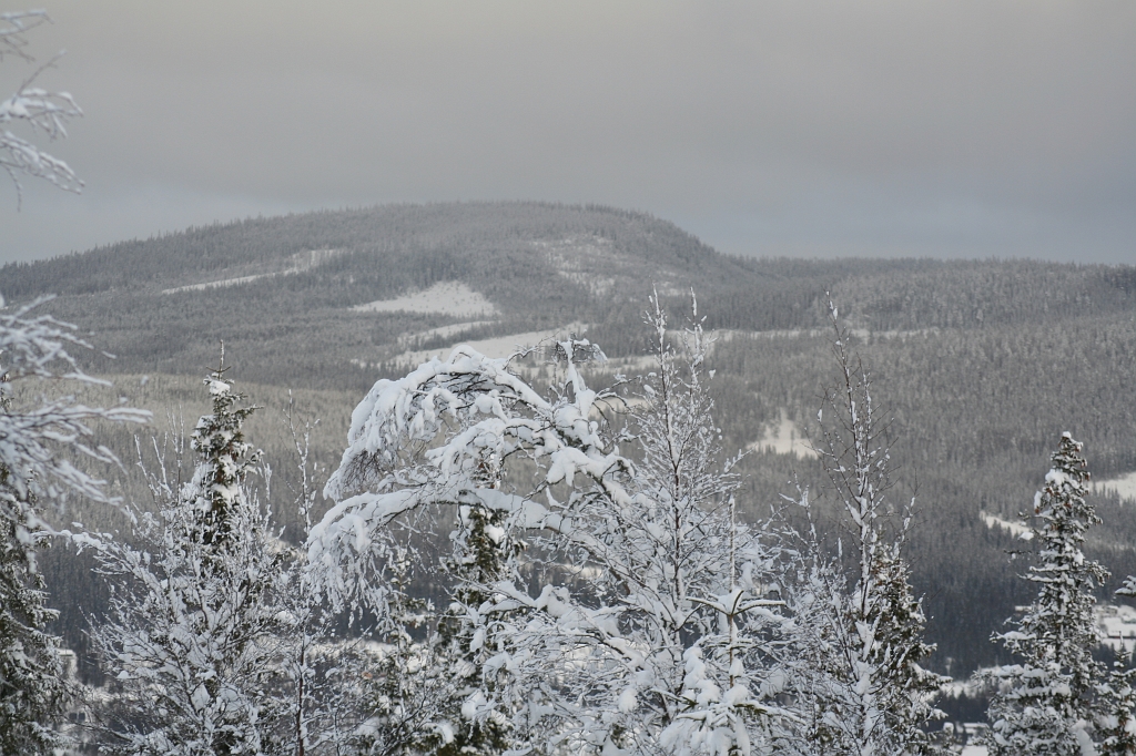 Trysil08072.jpg