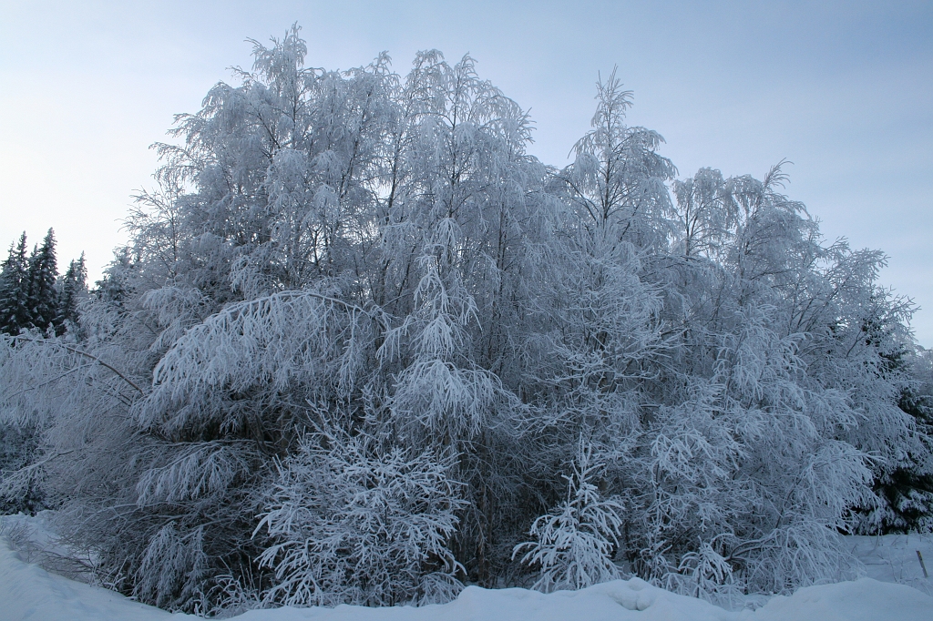 Trysil2009099.jpg