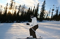 Trysil2009049